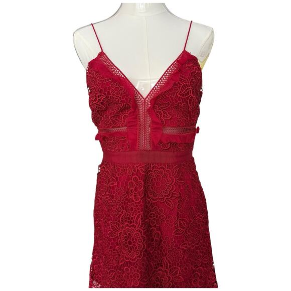 SELF PORTRAIT Floral Blush Lace Guipure Midi Dress in Raspberry Red Size 6 - Picture 3 of 14